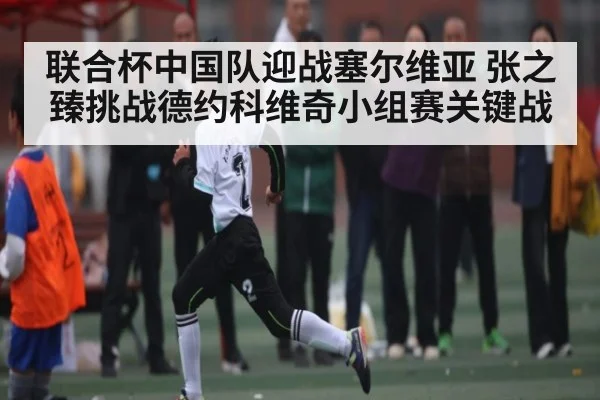 联合杯中国队迎战塞尔维亚 张之臻挑战德约科维奇小组赛关键战